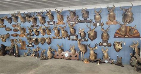 Lolli Brothers Auction in Macon, Mo. . Lolli brothers taxidermy auction
